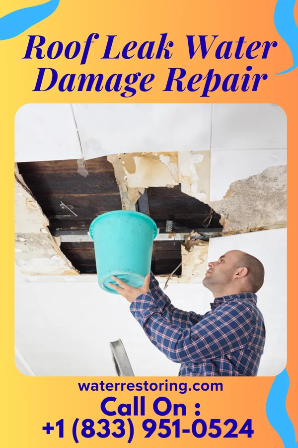 Roof Leak Water Damage Repair in Monticello, WI