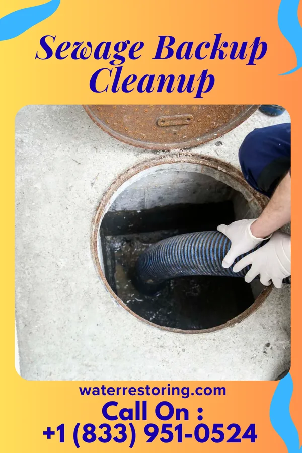 Sewage Backup Cleanup in Monticello, WI